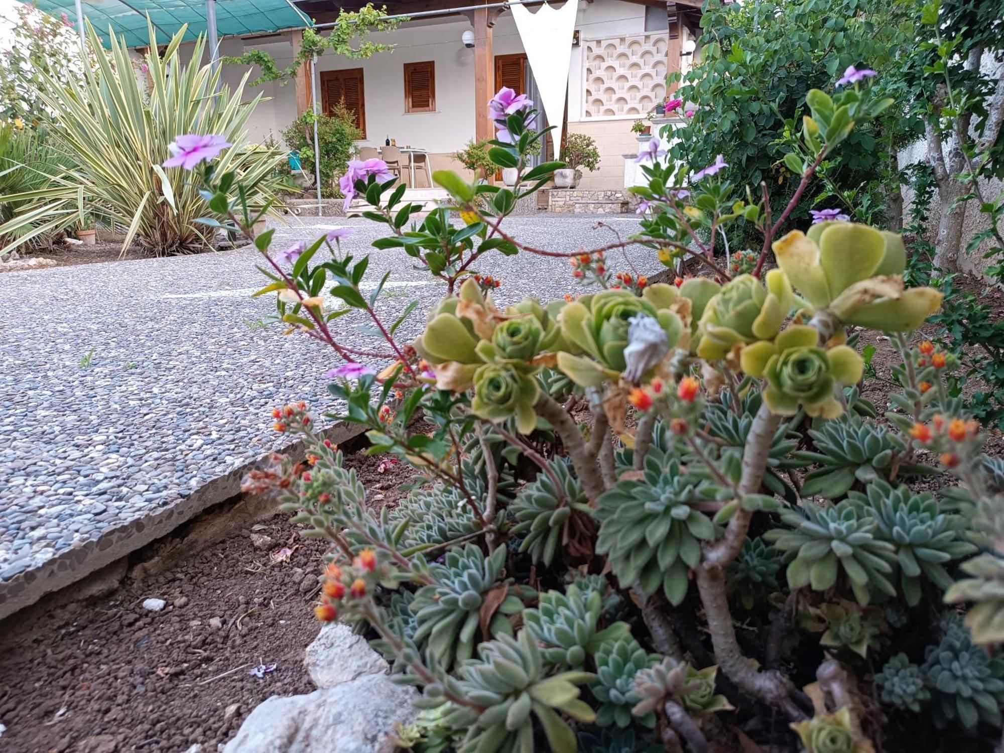 Il Giardino Di Sofia Charm And Comfort Apartment トッレ・デル・オルソ エクステリア 写真