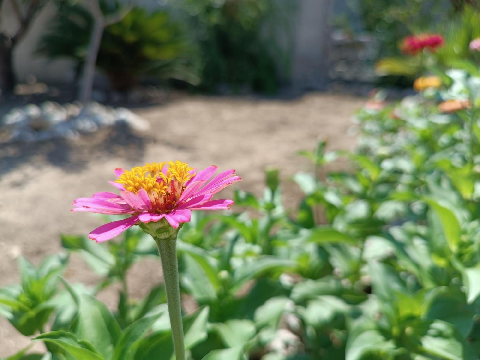 Il Giardino Di Sofia Charm And Comfort Apartment トッレ・デル・オルソ エクステリア 写真